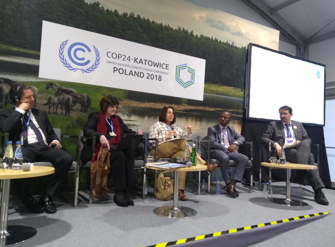 Panel ICLEI