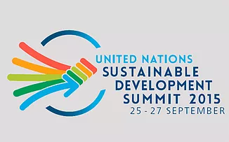 Local and regional government networks at the Post-2015 Summit