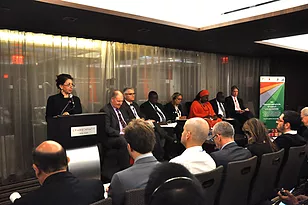 The role of Local Governments in the Effective Implementation of the Sustainable Development Goals
