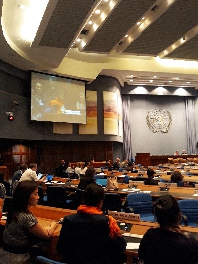 Local Government Advocacy in Asia-Pacific