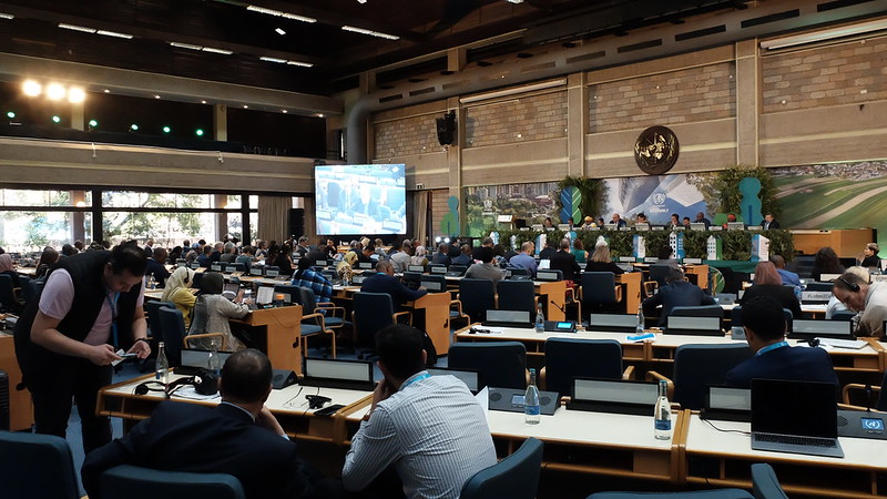 The constituency of local and regional governments at the second session of the United Nations Habitat Assembly: scaling up stakeholder engagement and advocating for inclusive multilateralism towards the localization of the 2030 Agenda