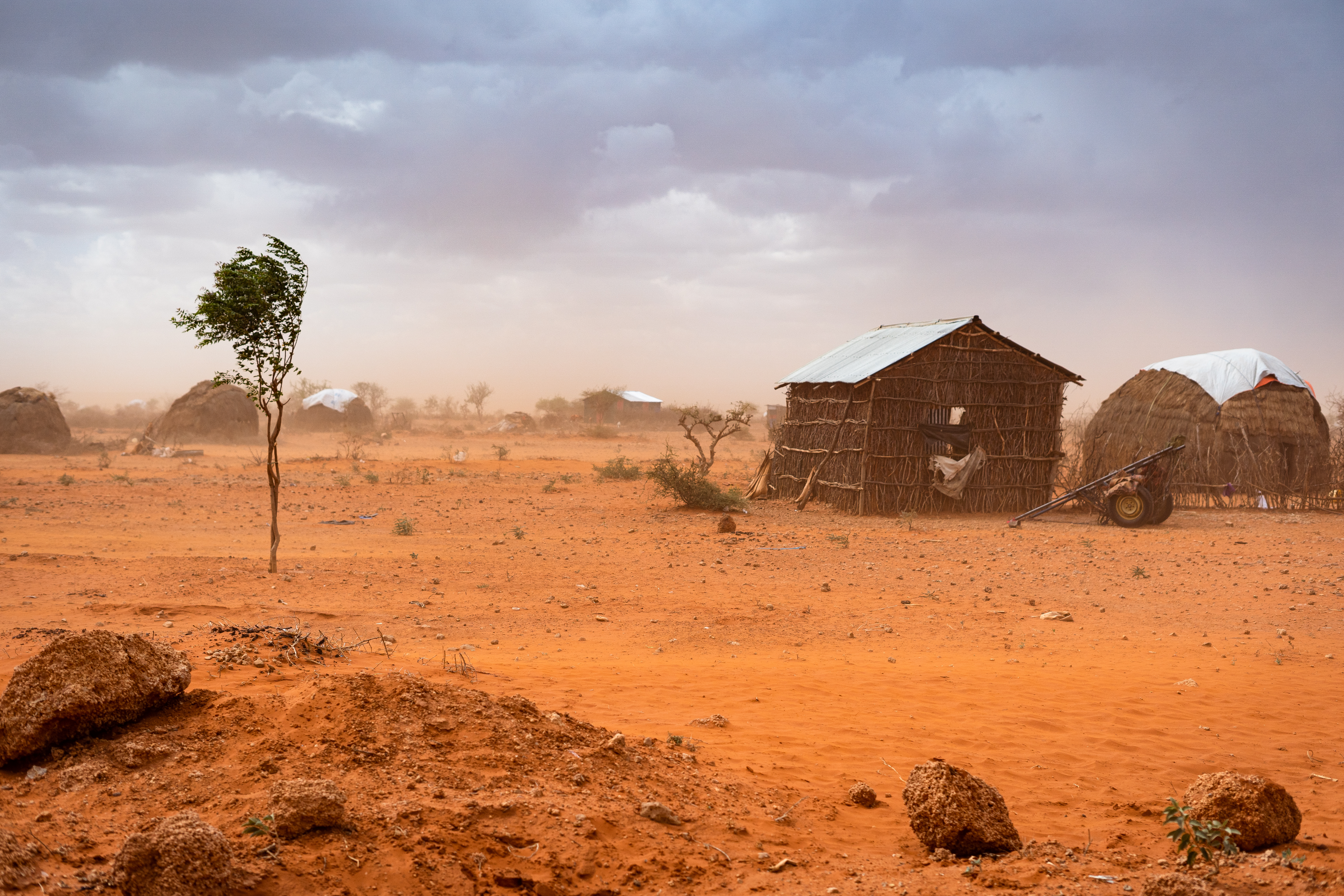 UNCCD COP 16 - Local and Regional Governments united against drought and desertification: from Local Engagement to Global Combat Land degradation and drought