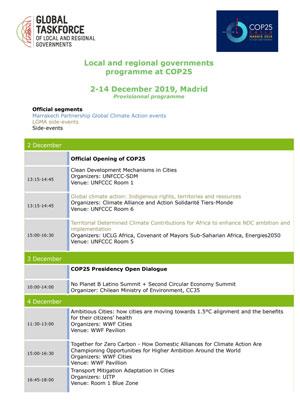 LRG Programme at COP 25