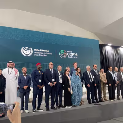 Local and Regional Governments United Against Desertification, Land Degradation, and Drought at COP16 in Riyadh