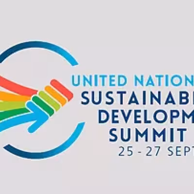 Local and regional government networks at the Post-2015 Summit