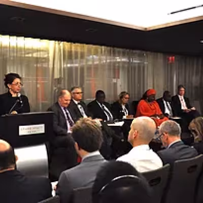 The role of Local Governments in the Effective Implementation of the Sustainable Development Goals