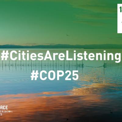 COP 25 image